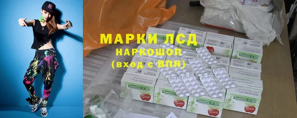 крисы Баксан
