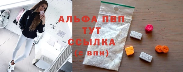 крисы Баксан