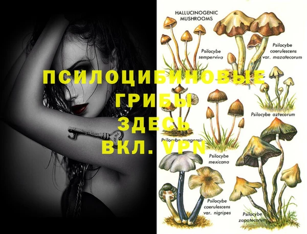мдма Рославль