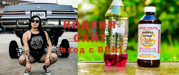 крисы Баксан