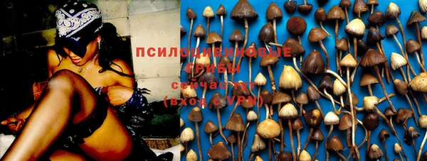 крисы Баксан